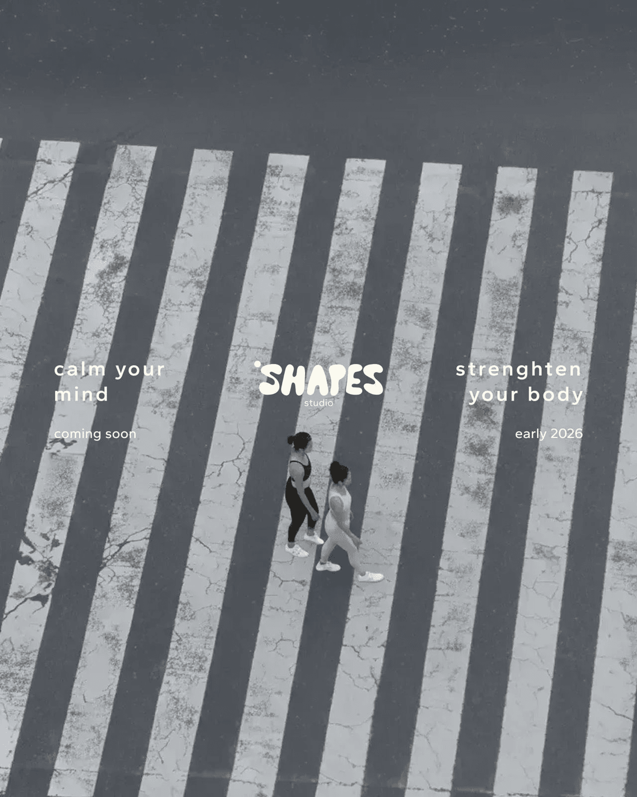 shapes studio instagram post zebrastreifen